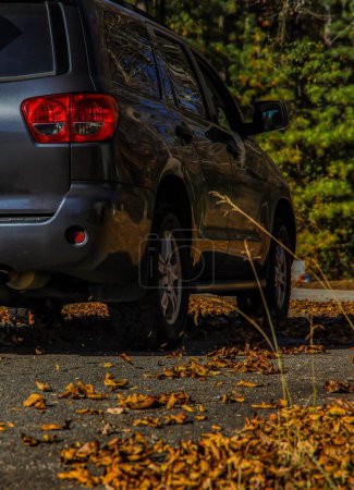 Téléchargez les photos : Un gros plan vertical d'un VUS gris conduisant des feuilles d'automne autour - en image libre de droit