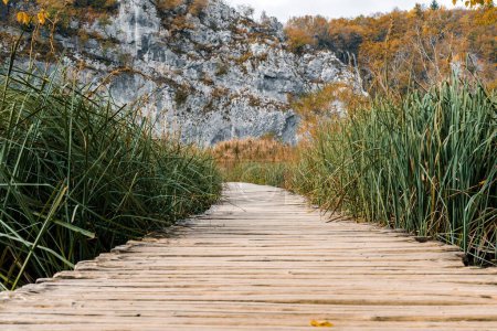 Foto de Un paisaje otoñal con un camino de madera en el Parque Nacional de los Lagos de Plitvice, Croacia - Imagen libre de derechos