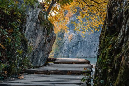 Foto de Un primer plano de un camino de madera en un lago rodeado de acantilados en el Parque Nacional de los Lagos de Plitvice - Imagen libre de derechos