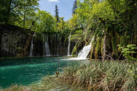 Téléchargez les photos : Un magnifique paysage de cascades avec végétation et un lac au parc national des lacs de Plitvice - en image libre de droit