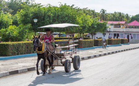 Foto de Un macho montando en un carro de caballos en una calle de Santiago de Cuba - Imagen libre de derechos