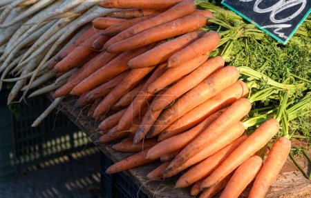 Photo for A bunch of fresh carrots for sale at farmer's market - Royalty Free Image