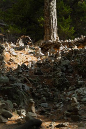 Foto de Un disparo vertical de un sendero rocoso en un parque en Grecia, Creta, tomando el bosque - Imagen libre de derechos