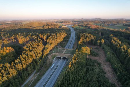 Foto de Una toma aérea de una carretera de ecoductos con tráfico en medio de un bosque verde bajo el cielo azul - Imagen libre de derechos