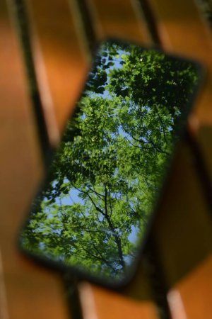 Téléchargez les photos : Un beau gros plan d'un téléphone portable avec un reflet de la nature - en image libre de droit