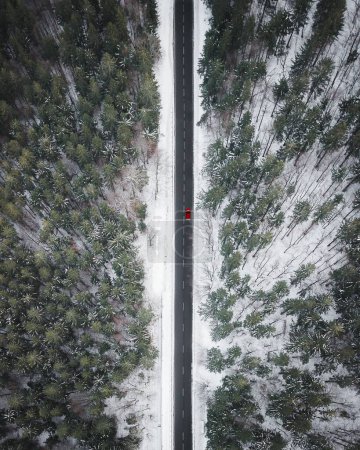 Foto de Una vista aérea de un coche en una carretera en el bosque de pinos en las montañas Beskydy, República Checa en invierno - Imagen libre de derechos