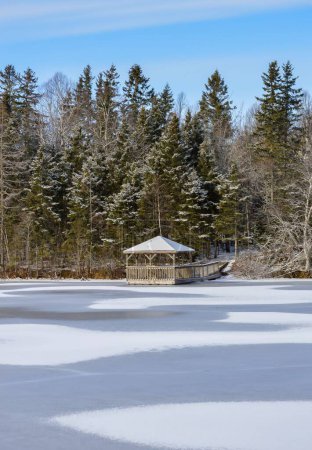Téléchargez les photos : Scène hivernale d'un étang gelé à Harvey Moore Wildlife Sanctuary - en image libre de droit
