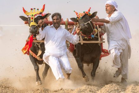 Téléchargez les photos : Le peuple du village du Pendjab vêtu de blanc lors de la course Bull Karah - événement rural au Pakistan - en image libre de droit