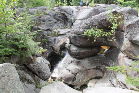 Téléchargez les photos : Une vue panoramique d'une cascade coulant sur les rochers dans une forêt verte par une journée ensoleillée - en image libre de droit