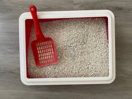 A top view of a cat litter box with a red sieve on a wooden floor