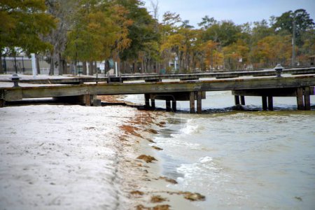 Foto de Una orilla arenosa en Carolina del Norte con un muelle de madera y árboles en el fondo durante el día - Imagen libre de derechos