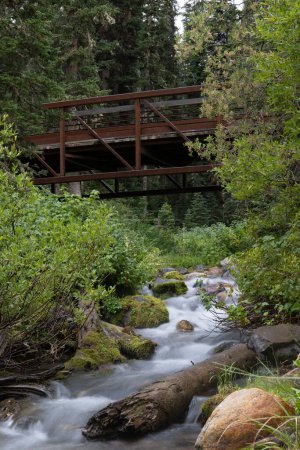 Téléchargez les photos : Plan vertical d'un pont au-dessus du ruisseau entouré d'une végétation verte. - en image libre de droit