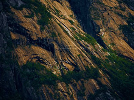 Téléchargez les photos : Gros plan d'une texture rugueuse d'une montagne rocheuse, couverte de mousse et d'arbres verts - en image libre de droit