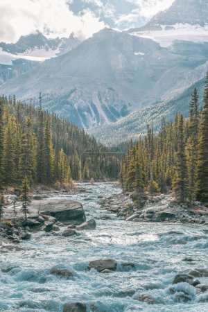 Photo for A vertical shot of Mistaya river between trees with a mountain in the background in Banff town - Royalty Free Image