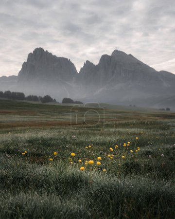 Foto de Una vista panorámica de los campos verdes y las montañas rocosas de Dolomita en el campo de Italia - Imagen libre de derechos