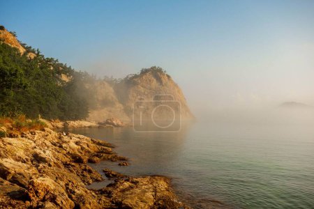 Téléchargez les photos : Vue panoramique d'un rivage rocheux couvert d'arbres verts en été en Corée du Sud à l'heure dorée brumeuse - en image libre de droit