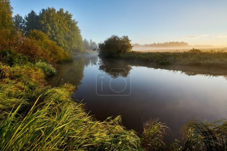 Photo for A scenic shot of a river surrounded by vegetation with thin fog during sunrise - Royalty Free Image