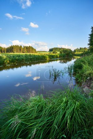 Photo for A vertical shot of a river flowing between fields surrounded by trees - Royalty Free Image