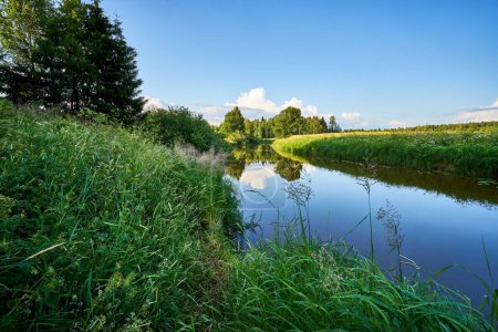 Téléchargez les photos : Un beau cliché d'une rivière qui coule entre des champs entourés d'arbres - en image libre de droit