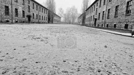Photo for A grayscale shot of the Auschwitz concentration camp during autumn - Royalty Free Image