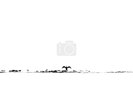 Photo for Cormorant drying wings minimalist silhouette - Royalty Free Image