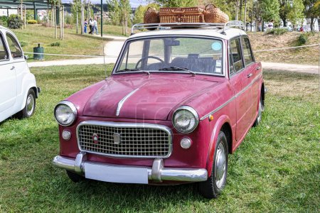 Téléchargez les photos : Vue de face d'une Fiat classique modèle 1100 avec paniers sur le dessus dans un champ - en image libre de droit