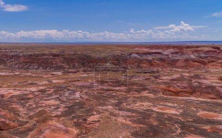 Foto de Una hermosa foto de los paisajes del Parque Nacional Bosque Pterificado en Arizona, EE.UU. - Imagen libre de derechos