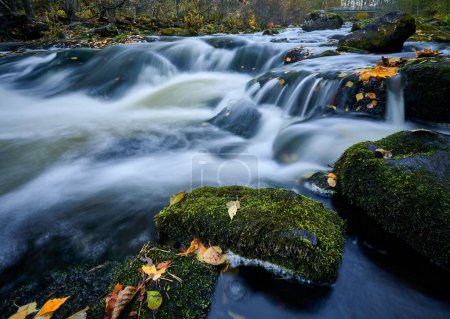 Téléchargez les photos : Une rivière traversant la forêt - en image libre de droit
