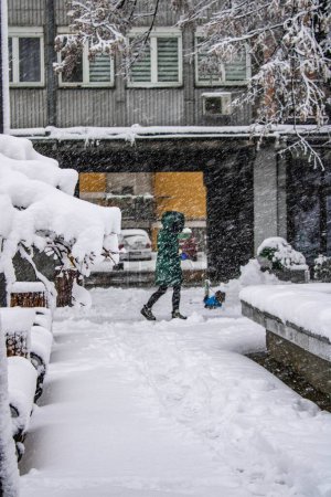 Téléchargez les photos : Une vue latérale de la jeune fille et son chien marchant dehors dans la tempête de neige - magie hivernale - en image libre de droit