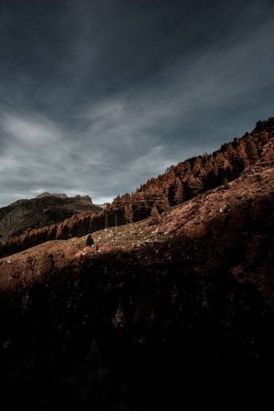 Photo for A vertical landscape of the forested hillside on a dark cloudy day - Royalty Free Image