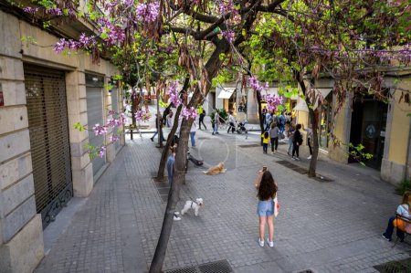 Foto de Chica sacada una foto móvil en una calle desierta con árboles en Girona, dos perros en la misma calle - Imagen libre de derechos