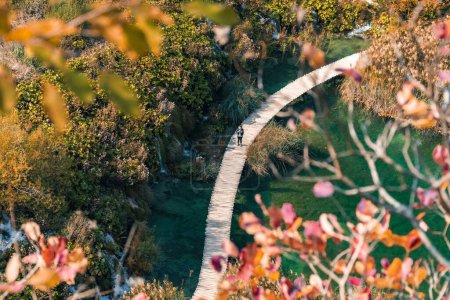 Photo for An aerial shot of a wooden deck and a person walking on it at Plitvice Lakes national park - Royalty Free Image