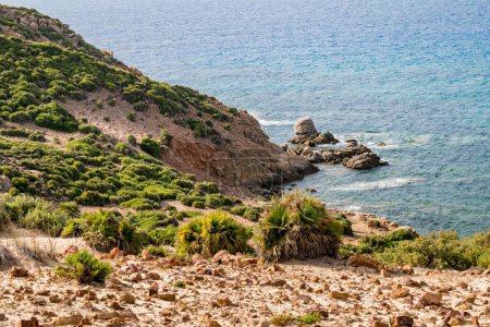 Téléchargez les photos : Un beau cliché d'un littoral rocheux ensoleillé lors d'une journée d'été à Kef Abbed, Tunisie - en image libre de droit