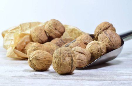 Photo for A closeup shot of very healthy walnuts - Royalty Free Image