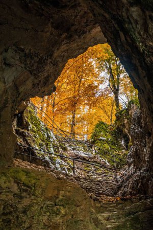 Foto de Un disparo vertical desde una cueva en el parque nacional de Plitvice Lakes en Croacia, árboles de otoño - Imagen libre de derechos