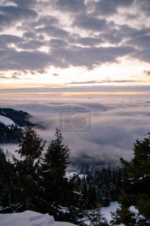 Photo for A picturesque vertical shot of a forest on the snowy mountain in the clouds - Royalty Free Image