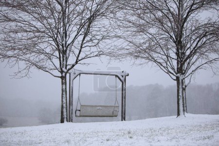 Foto de Un día de invierno brumoso en el parque y un columpio cubierto de nieve entre dos árboles secos - Imagen libre de derechos