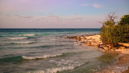 Téléchargez les photos : Cayo Coco, Cuba plage à l'heure du coucher du soleil - en image libre de droit