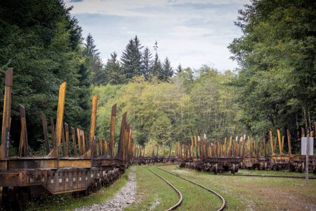 Téléchargez les photos : Vue des vieux wagons forestiers et des voies ferrées dans les bois - en image libre de droit