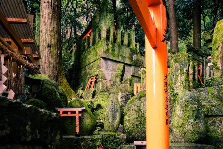 Photo for A traditional red Shinto temple complex in Kyoto Japan with red torii gates - Royalty Free Image