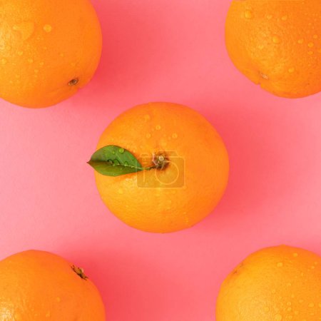 Téléchargez les photos : Les oranges avec rosée sur le fond rose vif - en image libre de droit