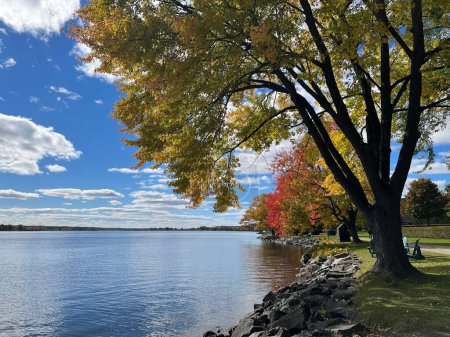 Téléchargez les photos : La belle vue sur les arbres d'automne avec un feuillage coloré sur la rive. - en image libre de droit