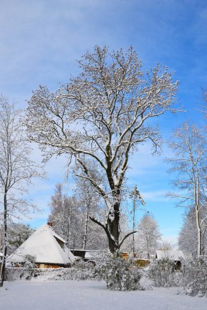 Foto de Un plano vertical del parque de invierno del campo con los campos, árboles y cabañas cubiertas de nieve - Imagen libre de derechos
