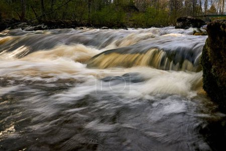 Téléchargez les photos : Gros plan d'une rivière qui coule dans une forêt - en image libre de droit
