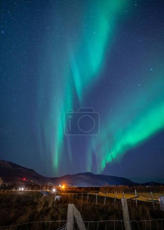 Téléchargez les photos : Une belle vue des lumières polaires sur le champ - en image libre de droit