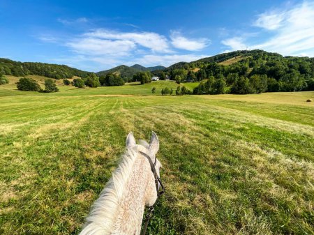 Téléchargez les photos : Vue d'un cheval avec un cavalier dans un champ d'herbe - en image libre de droit