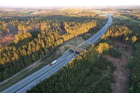 Foto de Una toma aérea de una carretera de ecoductos con tráfico y el horizonte en una tarde soleada - Imagen libre de derechos