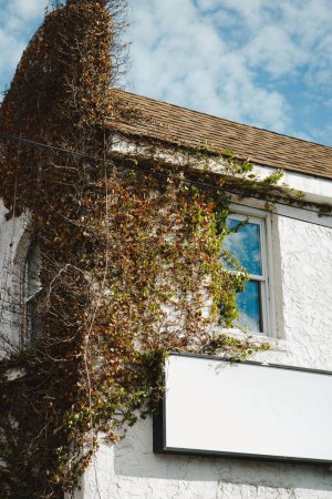 Téléchargez les photos : Vue verticale d'un ancien bâtiment résidentiel décoré de plantes à fleurs à Red Hill - en image libre de droit