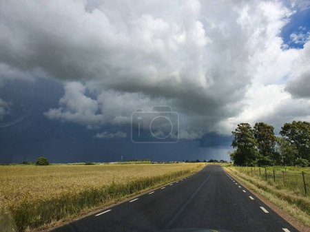 Foto de Un camino estrecho entre campos con un cielo nublado en el fondo - Imagen libre de derechos