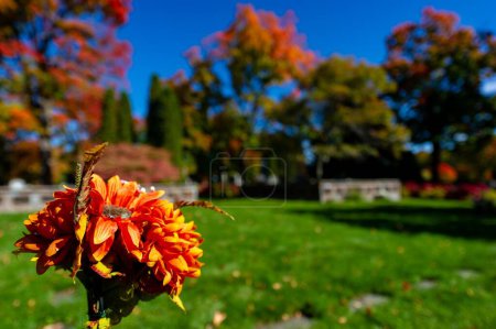 Photo for Beechwood Cemetery, National Cemetery of Canada during the fall season colors - Royalty Free Image